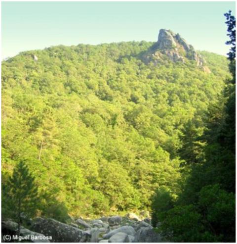 Visita guiada ao Parque Nacional da Peneda-Gerês e caminhada na Mata de Albergaria