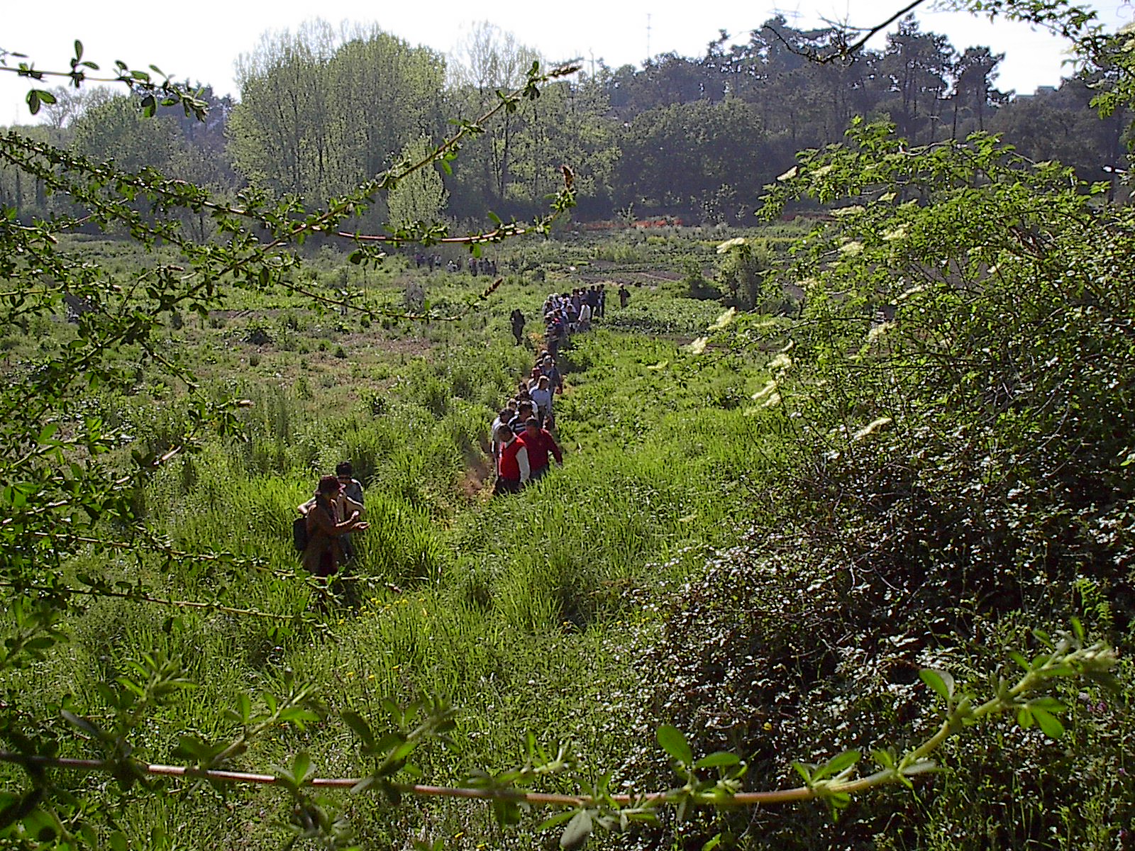 Visita de estudo ao Parque Oriental