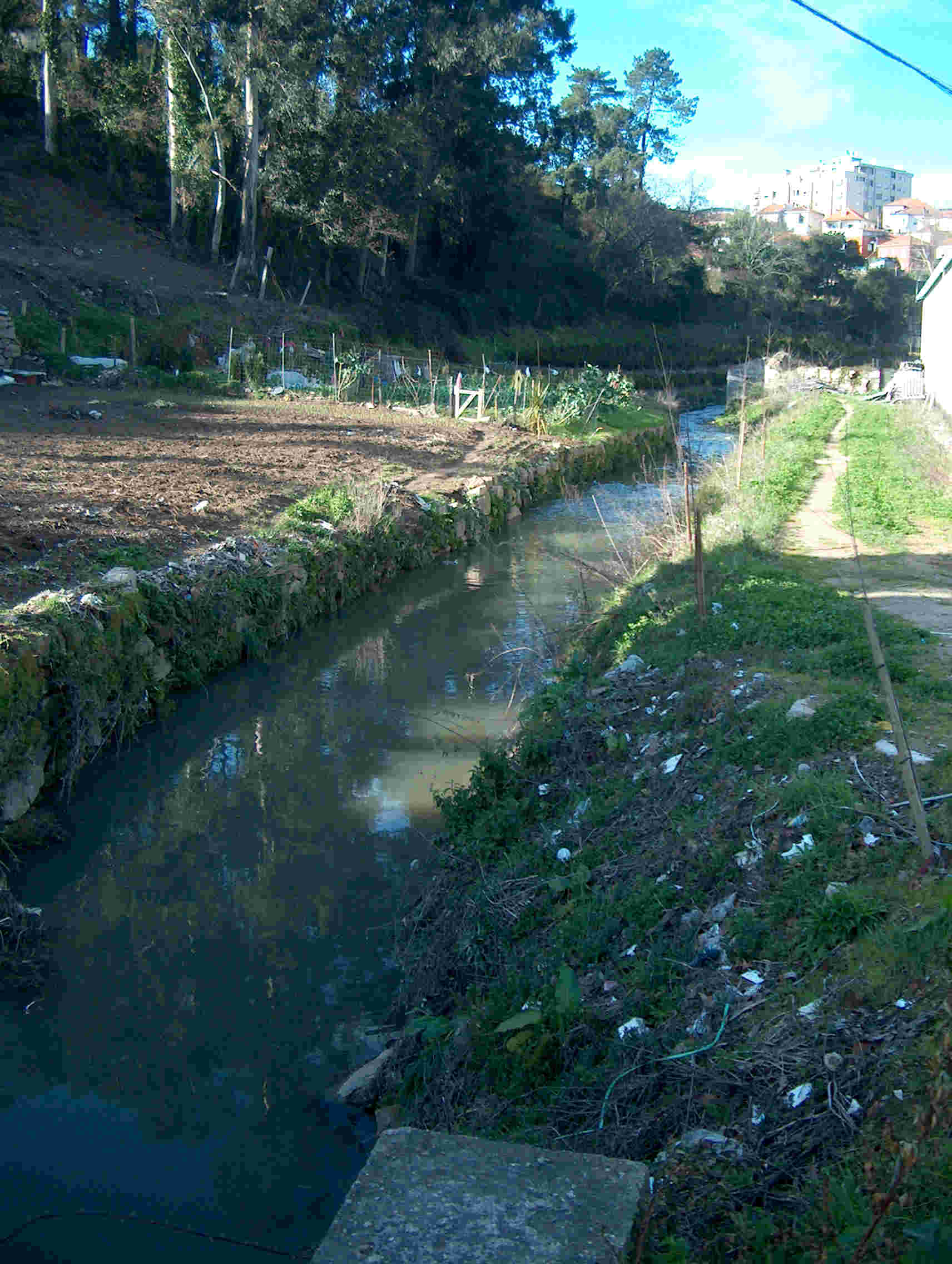 Visita de campo ao rio Tinto (Domingo, pelas 10:30)