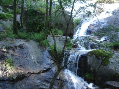 Visita ao Rio Leça