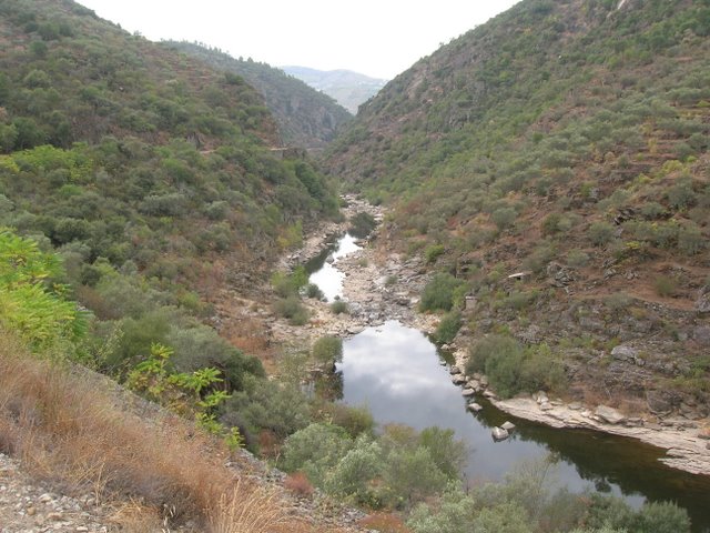 Salvemos os últimos rios naturais de Portugal