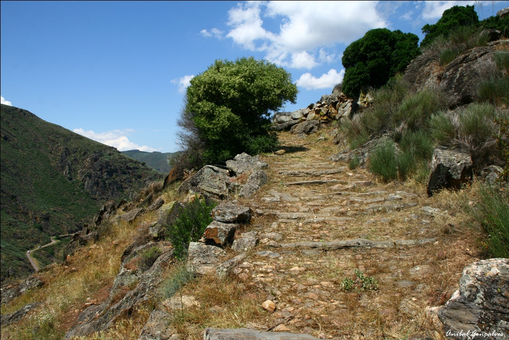 TRÁS-OS-MONTES 2013 – ALPAJARES