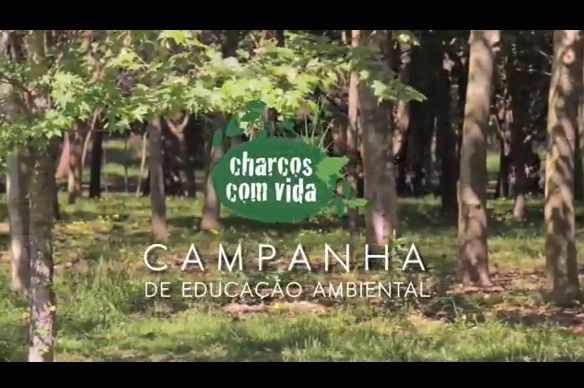 Charcos Com Vida – divulgação