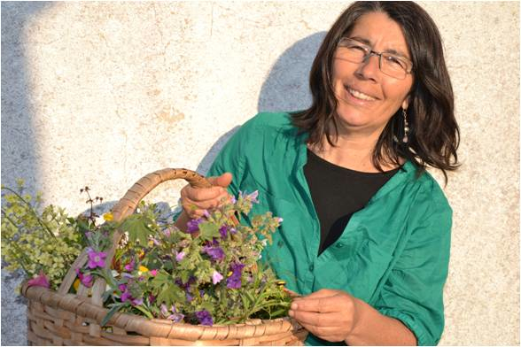 Feirinha da Páscoa da Campo Aberto + Oficina de Plantas Medicinais, Ervas Silvestres e Flores Comestíveis