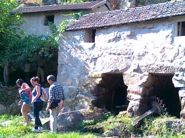 Terras de Basto – Átrio minhoto de Trás-os-Montes: sábado, 4 outubro 2014