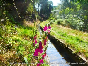 Outro aspeto da mesma levada em Mondim de Basto.