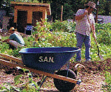 Construir uma economia alternativa passa também pela horticultura e agricultura sustentáveis e biológicas. In The Mother Earth News, n.º 261, pág. 53