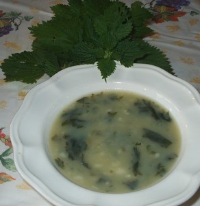 Uma bela sopa de urtigas preparada e fotografada por Alexandra Azevedo