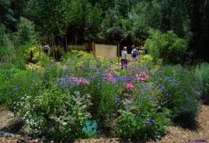 Centro Terre Vivante, imagem de Jean-Jacques RAYNAL para a revista Les 4 saisons du jardin bio editada por esse Centro