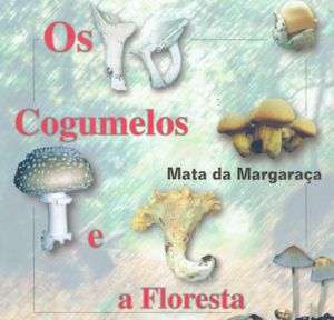 Margaraça-cogumelos