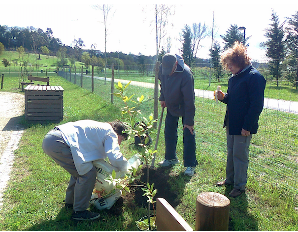 Com as mãos na terra, sujas?, plantando no Parque da Devesa, com a Campo Aberto e a associação Vento Norte.