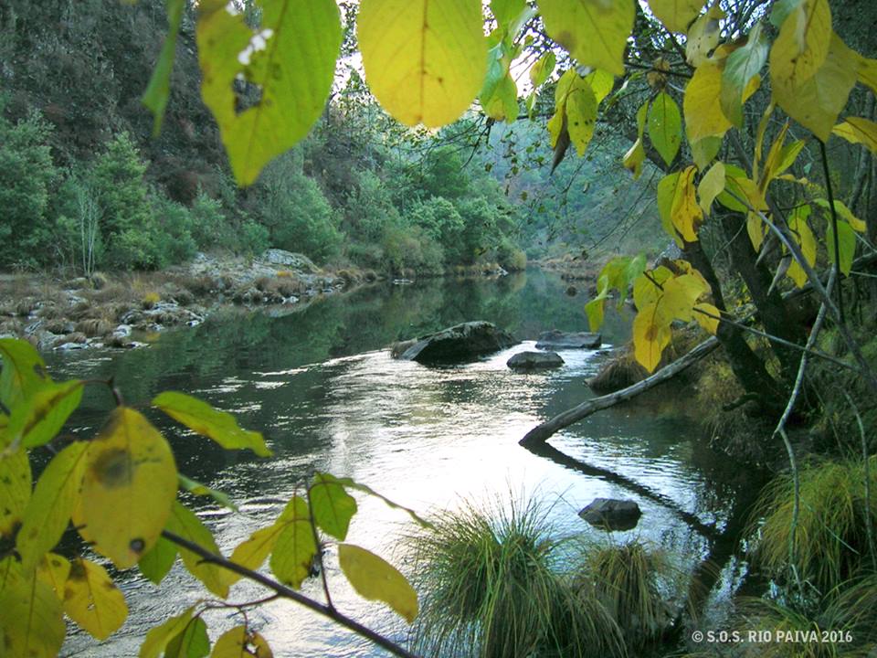 Natureza e Biodiversidade