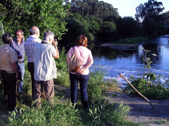 Rio Leça-4