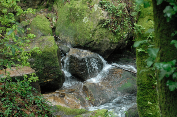 Visitas e Caminhadas