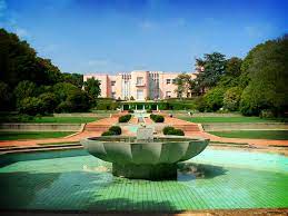 Serralves Ampliação do Museu: Que consequências ambientais? Que alternativas?