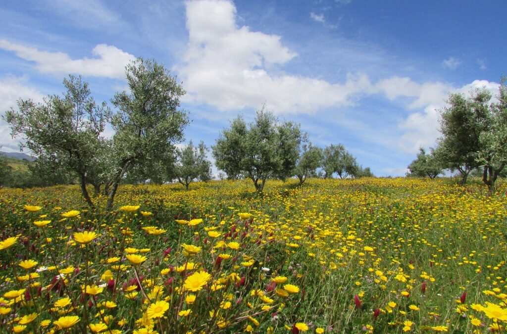 Visita a Trás-os-Montes: Círculo Agricultura e Natureza