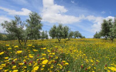 Visita a Trás-os-Montes: Círculo Agricultura e Natureza