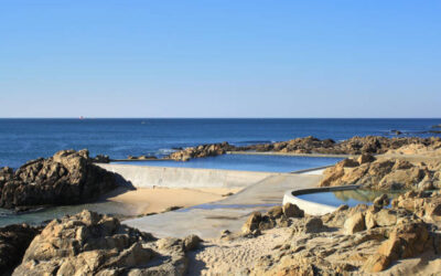 Matosinhos: Jornada Património Natural, Ecológico e Paisagístico – e Cidadania