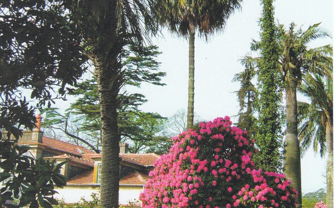 Ciclo de Visitas a Jardins Históricos 2025