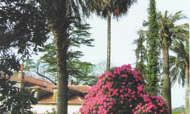 Ciclo de Visitas  a Jardins Históricos 2025