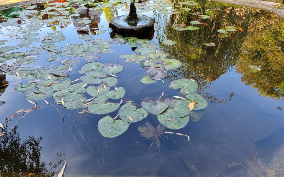 Que Cidade em Nevogilde e Foz do Douro? Torres ou Enquadramento Urbano Harmonioso?